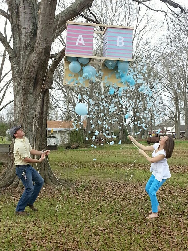 Baby Gender Reveal Party Ideas For Twins
 Twin Gender Reveal Party