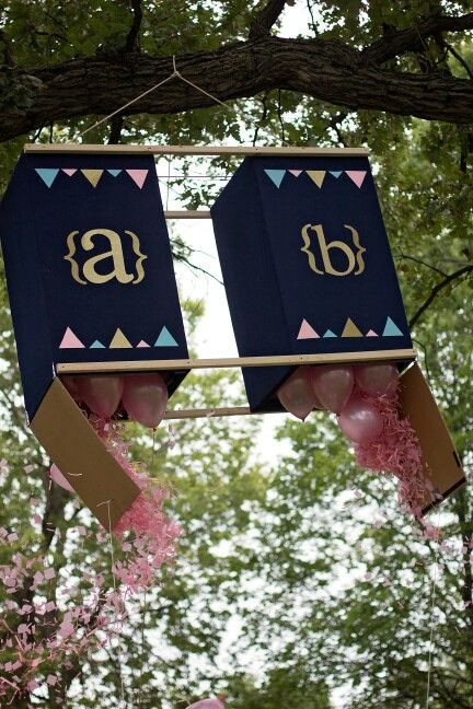 Baby Gender Reveal Party Ideas For Twins
 8 best images about baby shower on Pinterest