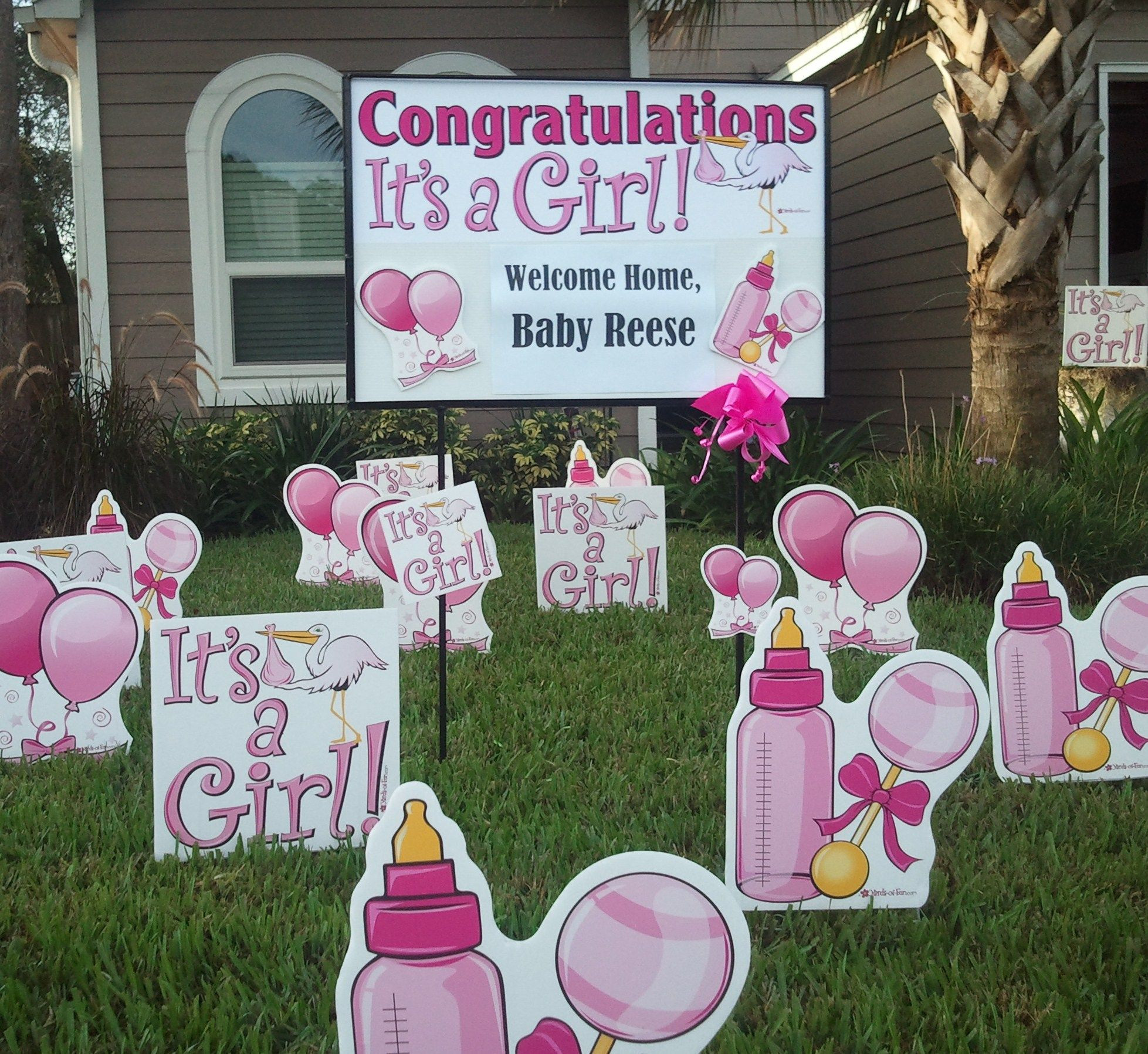 Baby Welcoming Party Ideas
 Baby girl wel e home baby idea
