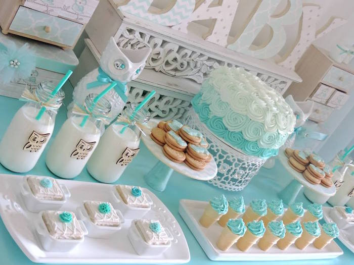 Baby Welcoming Party Ideas
 Baby Shower con lechuzas