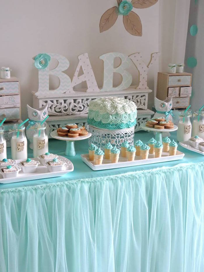 Baby Welcoming Party Ideas
 Kara s Party Ideas Turquoise Owl "Wel e Home Baby" Party