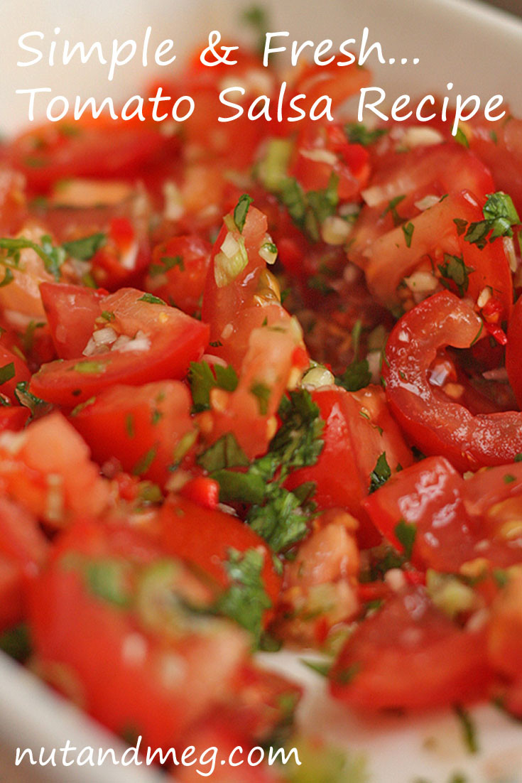Basic Salsa Recipe
 Tomato Salsa Recipe