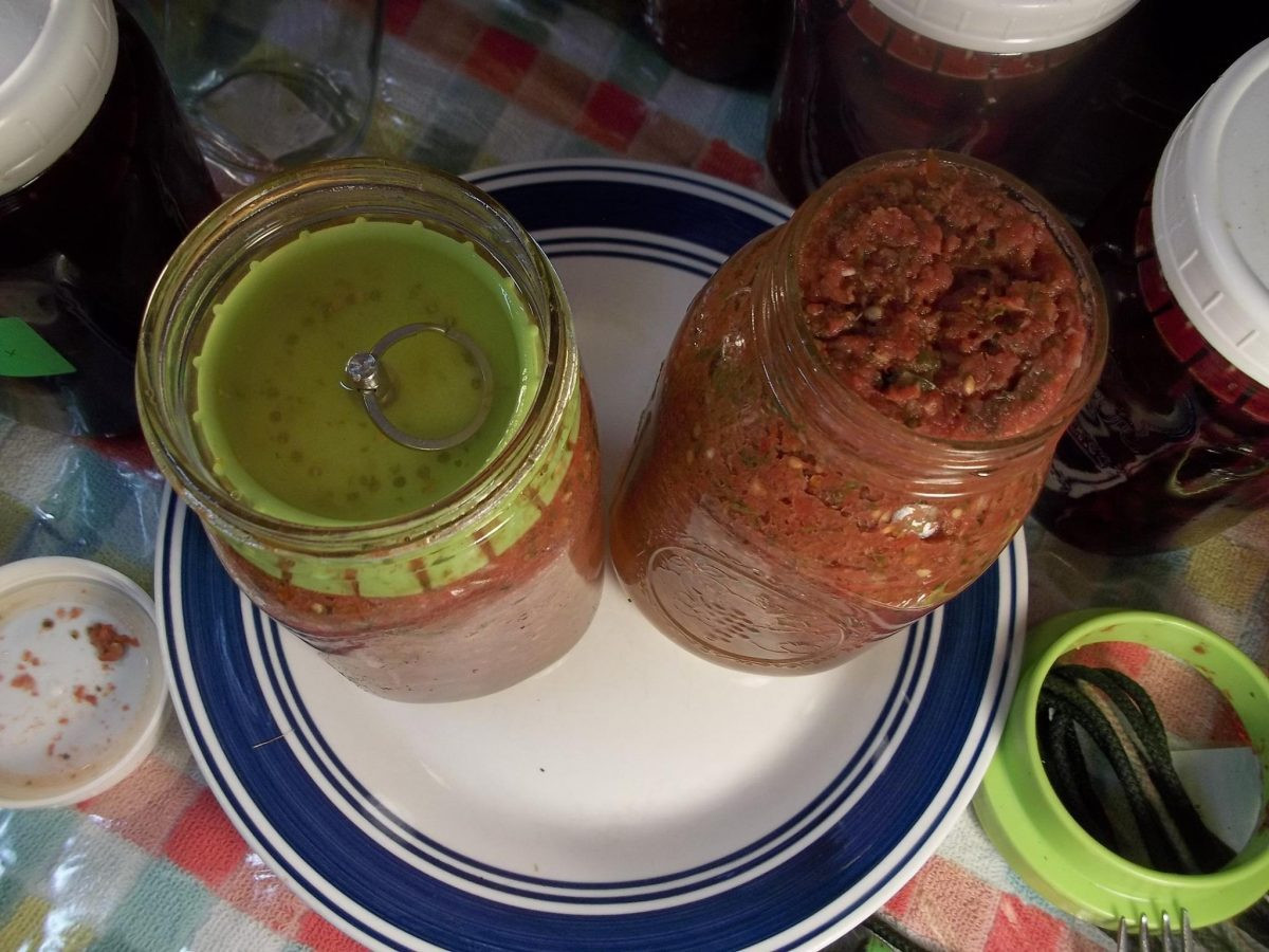 Basic Salsa Recipe
 Basic Salsa Recipe lacto fermented salsa ⋆ SS Prepper