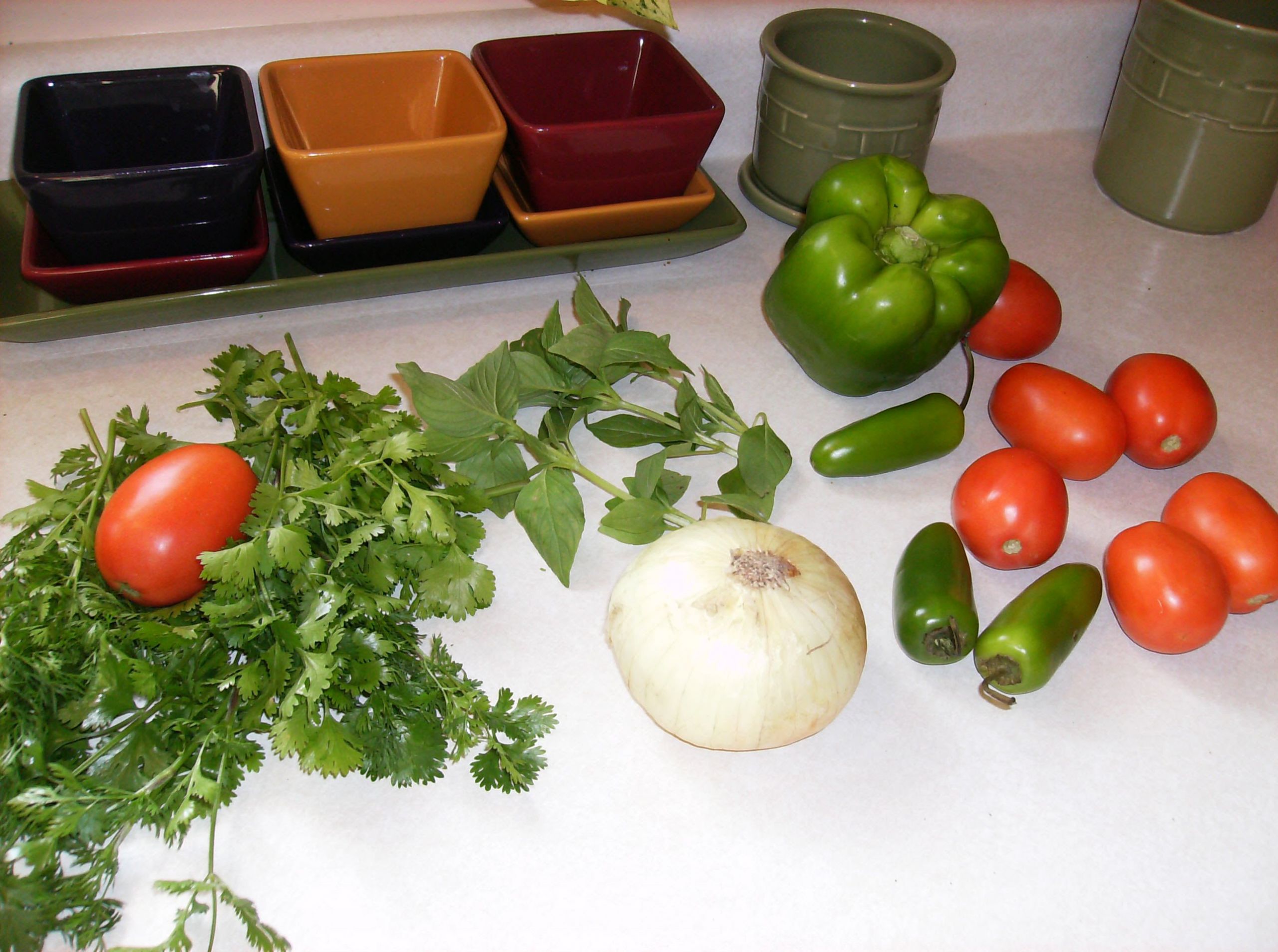 Basic Salsa Recipe
 A Basic Salsa Recipe In – The Poetic Ve able