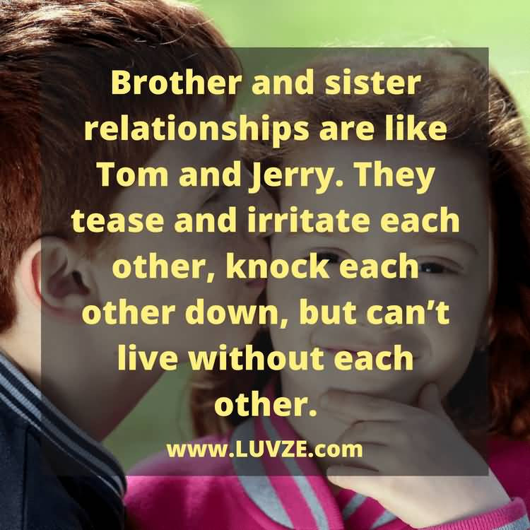 Bro Sis Relationship Quotes
 33 Brother Quotes & Popular Sayings
