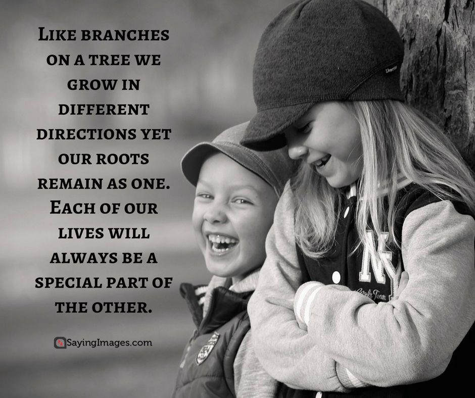 Bro Sis Relationship Quotes
 35 Sweet and Loving Siblings Quotes sayingimages