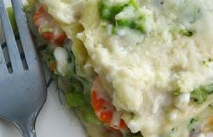 Broccoli Main Dish Recipes
 Recipes Main Dish Broccoli And Carrot Lasagna