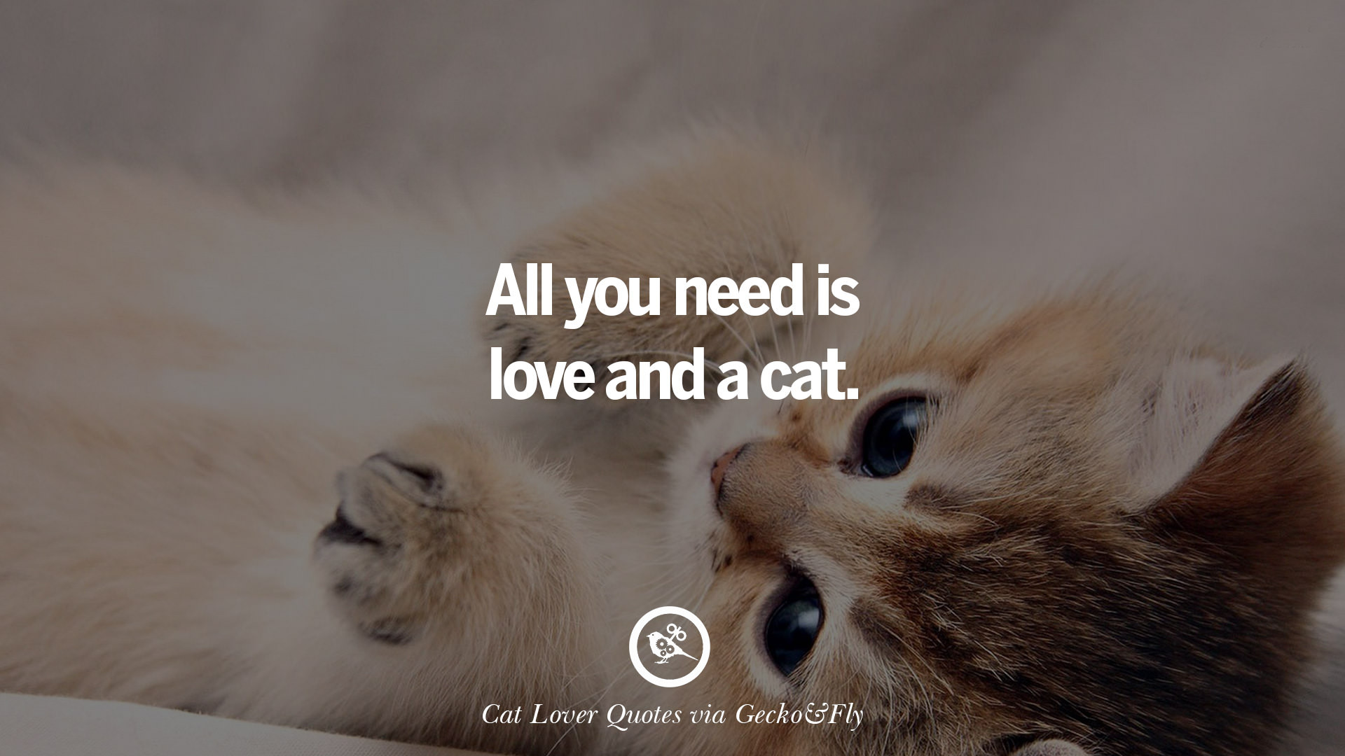 Cat Love Quote
 25 Cute Cat With Quotes For Crazy Cat La s