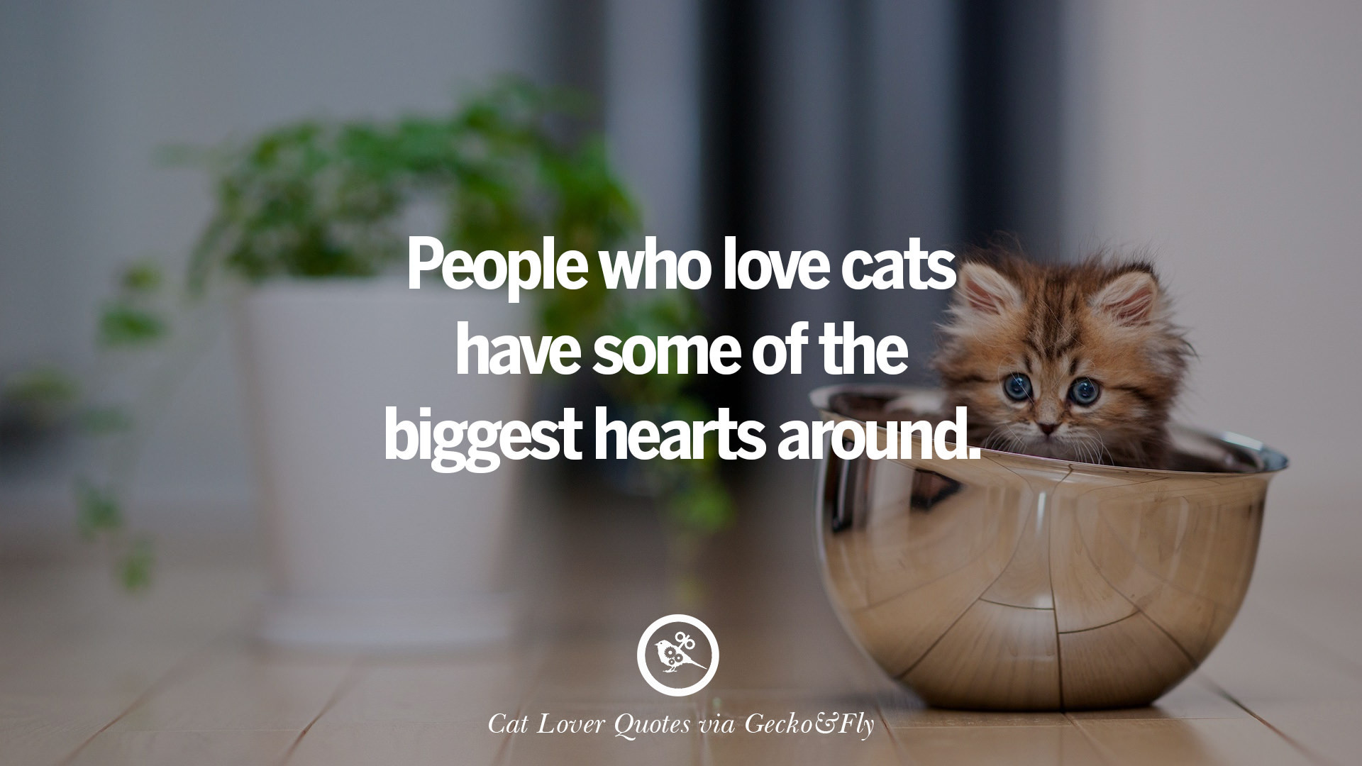 Cat Love Quote
 25 Cute Cat With Quotes For Crazy Cat La s