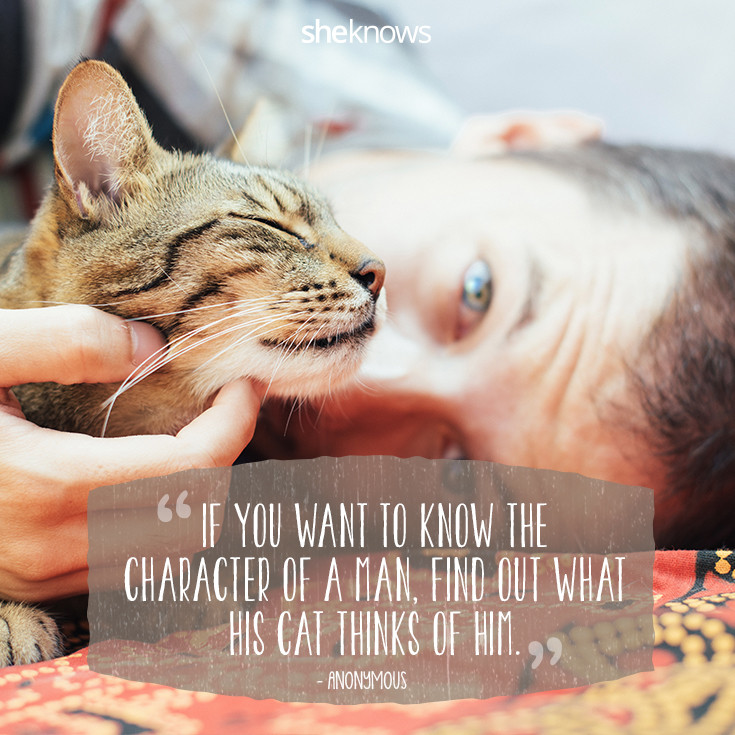 Cat Love Quote
 50 Cat Quotes That ly Feline Lovers Would Understand