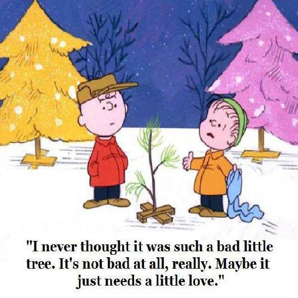 Charlie Brown Christmas Quote
 What ics Have Taught Us About The Holidays
