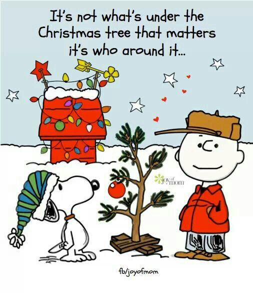 Charlie Brown Christmas Quote
 Charlie Brown Christmas Quotes QuotesGram