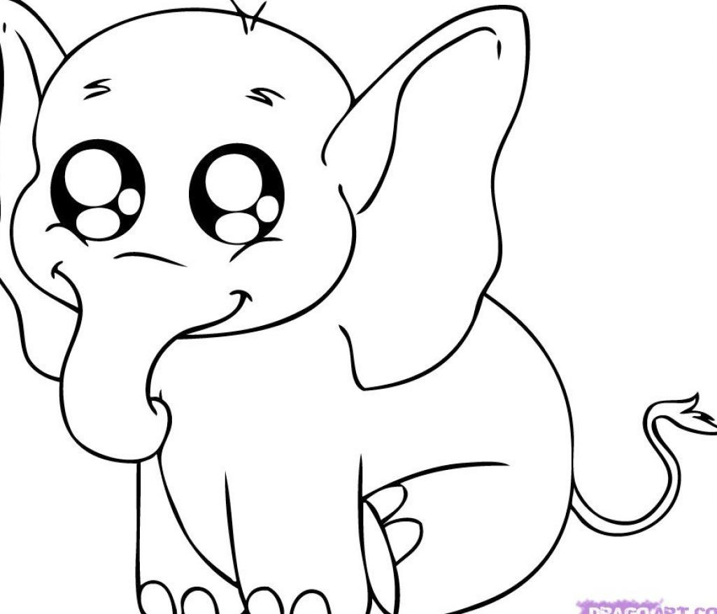 Cute Baby Animals Coloring Pages
 Printable animal coloring pages 13 Sheets