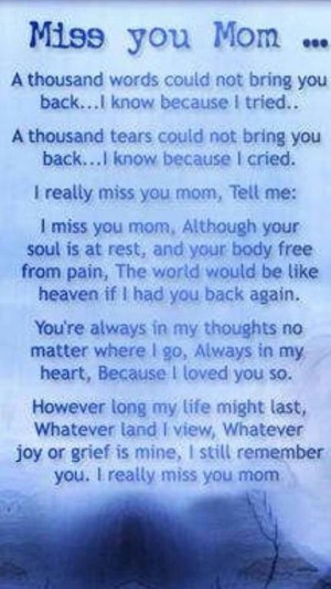 Death Of Mother Quotes
 Death Anniversary Quotes For Mom QuotesGram