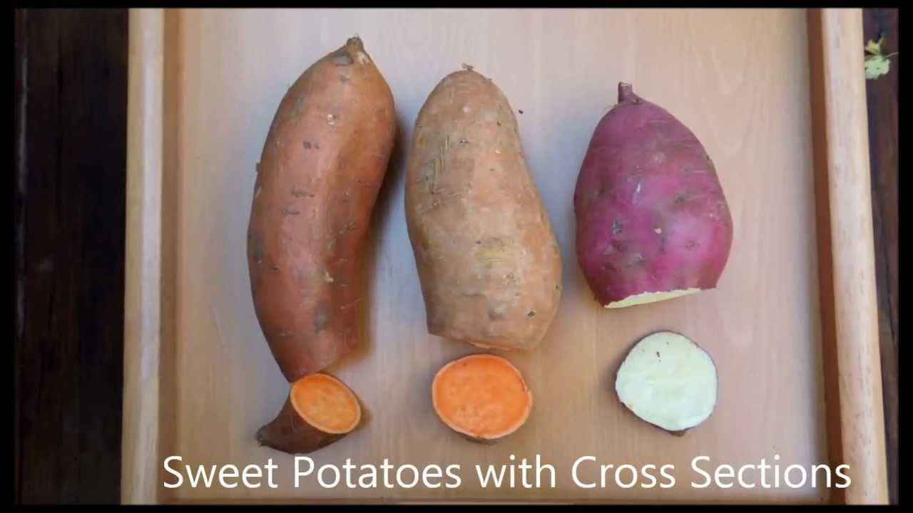 Difference Between Yams And Sweet Potato
 What Is the Difference between a Sweet Potato and a Yam