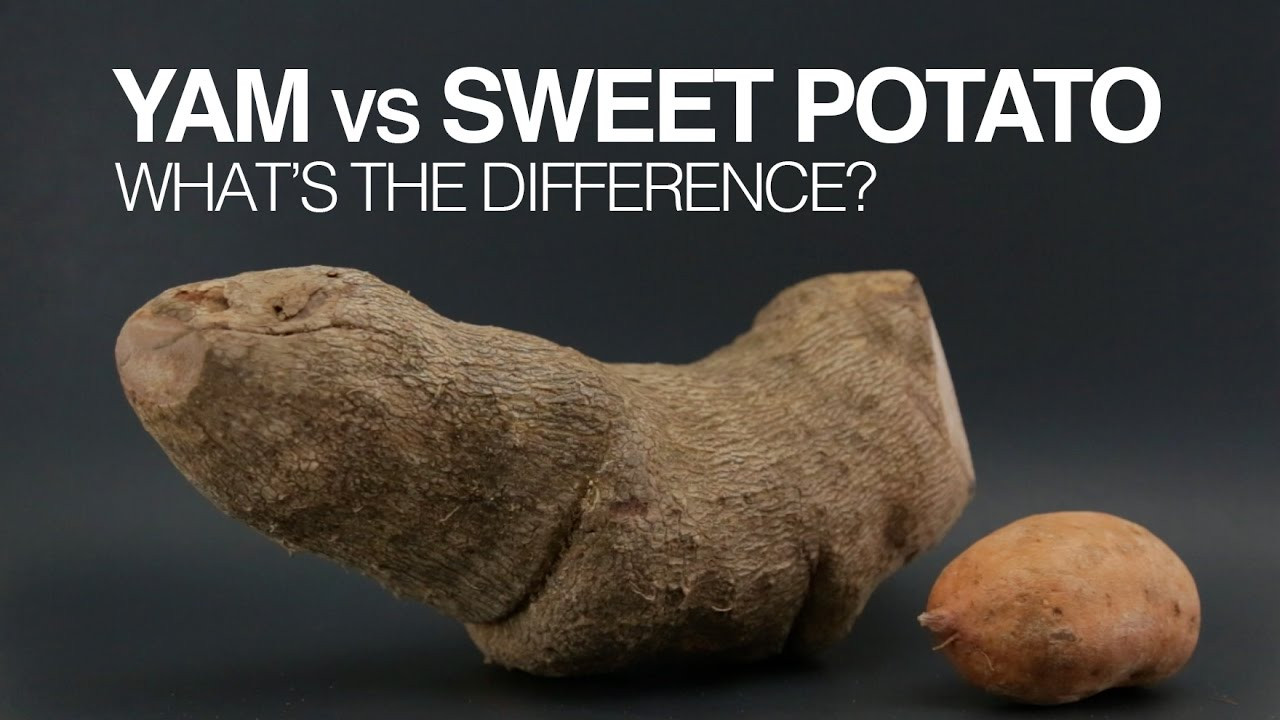 Difference Between Yams And Sweet Potato
 Yams vs Sweet Potatoes What s the Difference