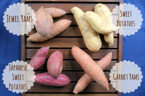 Difference Between Yams And Sweet Potato
 What s for Dinner Friday