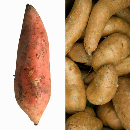 Difference Between Yams And Sweet Potato
 Burning Question What s the Difference Between Yams and