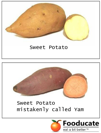 Difference Between Yams And Sweet Potato
 Is that a Yam or Sweet Potato What s the Difference