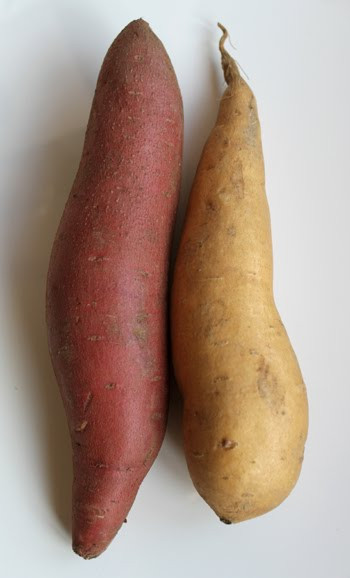 Difference Between Yams And Sweet Potato
 The Nutrition Wall What Is The Difference Between Sweet
