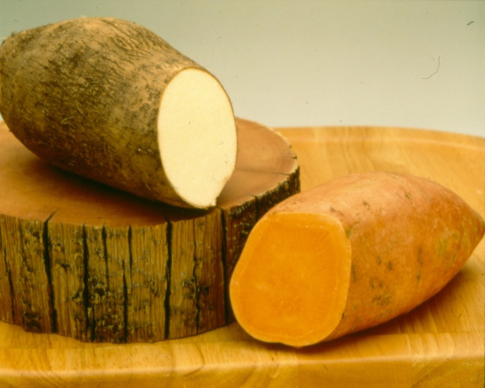 Difference Between Yams And Sweet Potato
 The Difference Between Yams And Sweet Potatoes KnowledgeNuts