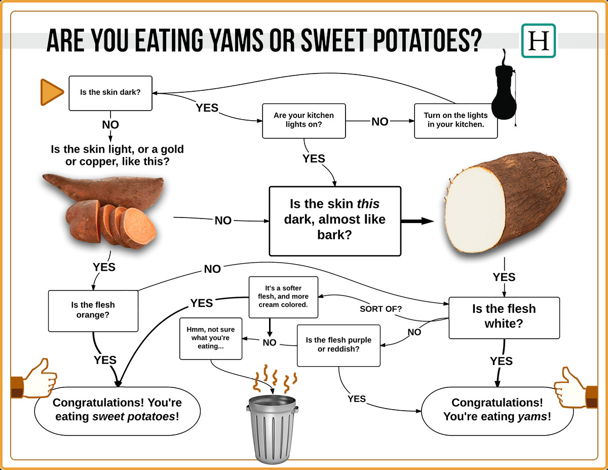 Difference Between Yams And Sweet Potato
 Ellen DeGeneres Doesn t Know Her Sweet Potatoes From Her