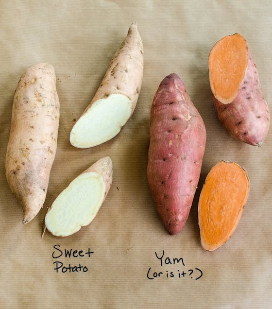Difference Between Yams And Sweet Potato
 OMG Worthy Reads Week 107 OMG Lifestyle Blog