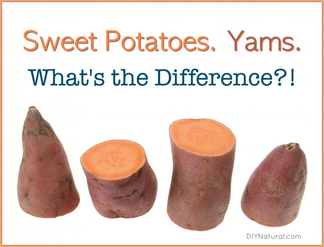 Difference Between Yams And Sweet Potato
 Sweet Potato Yams Is there a Difference