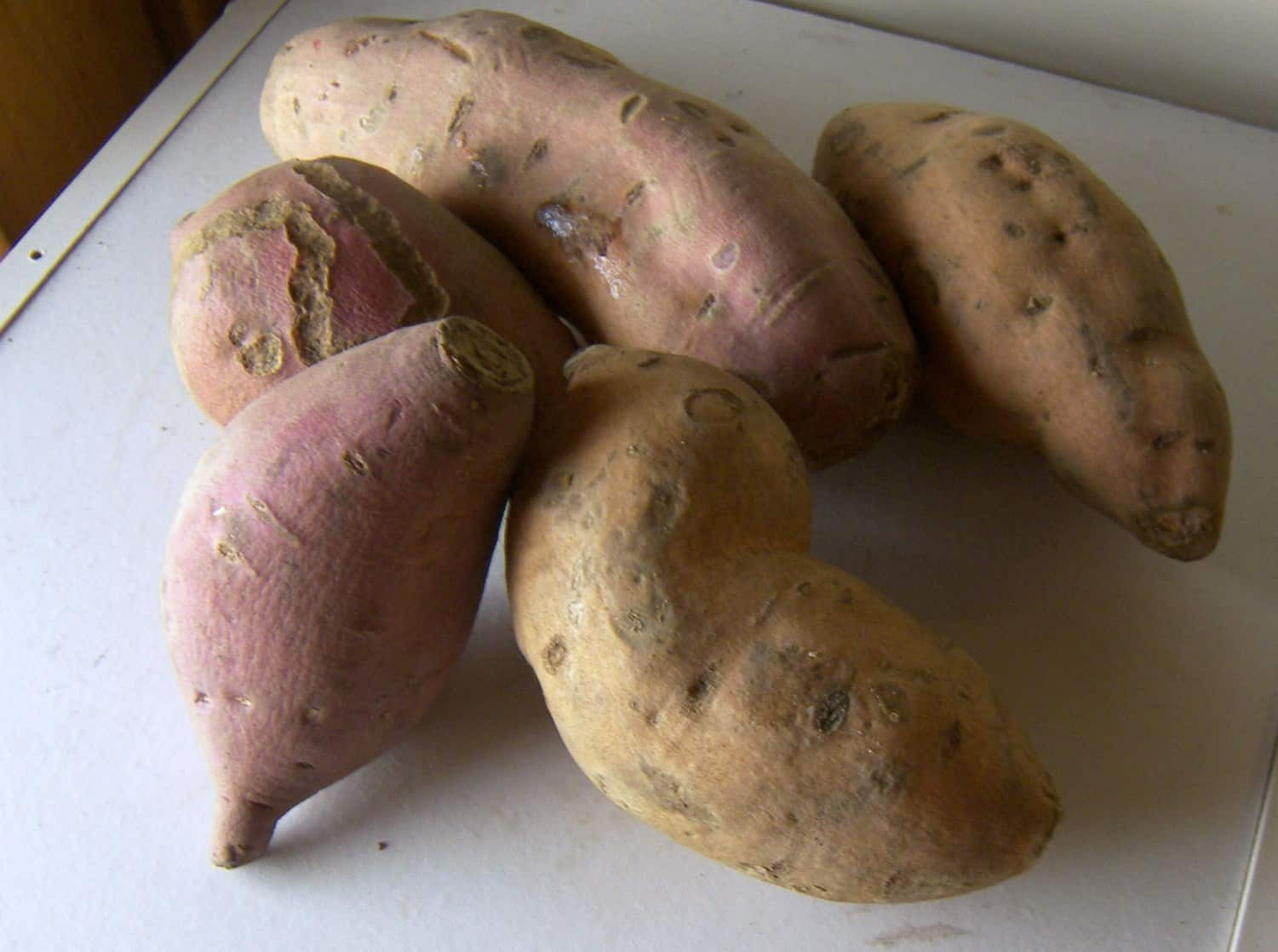 Difference Between Yams And Sweet Potato
 What s the Difference Between a Sweet Potato and a Yam