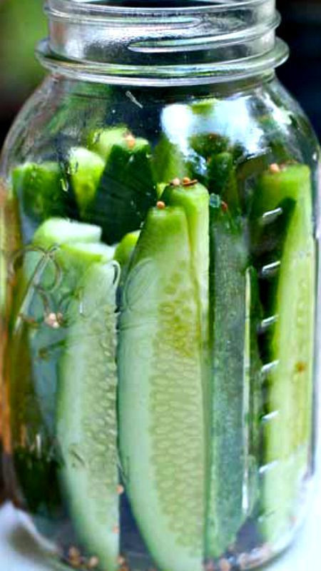 Dill Pickles Recipe For Canning
 Copycat Claussen Kosher Dill Pickles Recipe