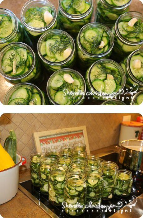 Dill Pickles Recipe For Canning
 Dill Pickles Recipe and Canning gardening
