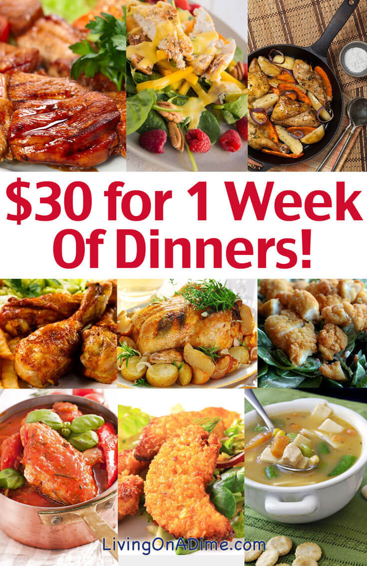 Dinner Ideas For The Family
 Cheap Family Dinner Ideas $30 for 1 Week of Dinners