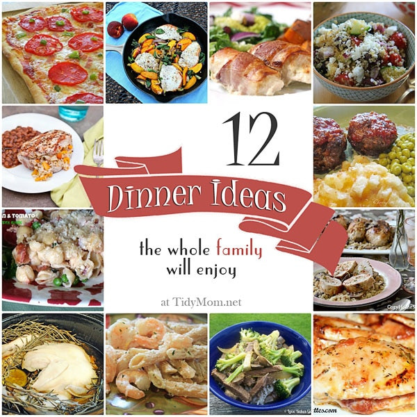 Dinner Ideas For The Family
 Family Friendly Dinner Recipe Roundup