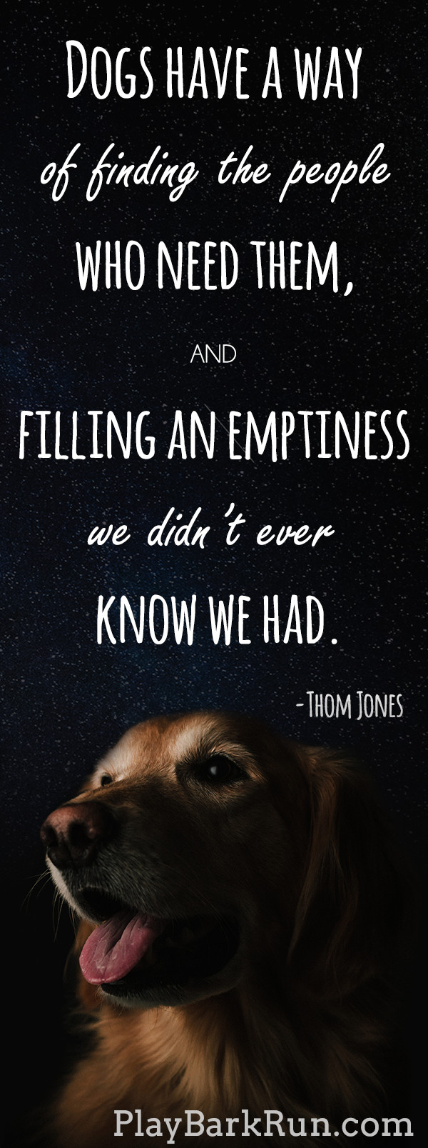 Dogs Love Quotes
 28 Inspirational Dog Quotes about Life and Love