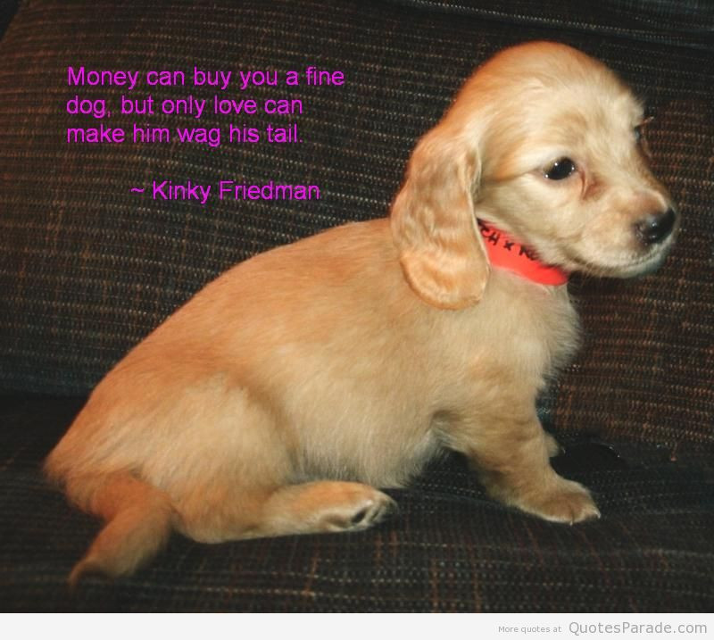 Dogs Love Quotes
 Dogs Love Quotes For Him QuotesGram