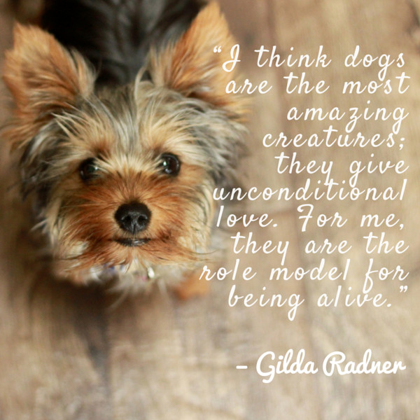 Dogs Love Quotes
 Dog Quotes — We Rounded up the Best of the Best