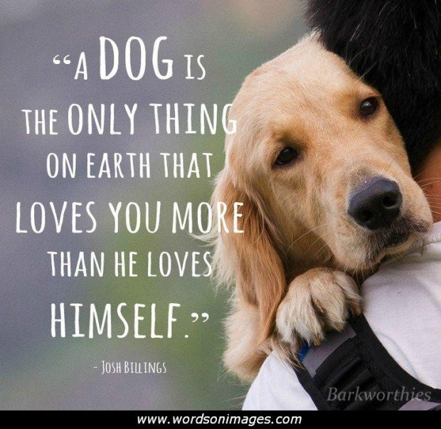 Dogs Love Quotes
 Pet Love Quotes QuotesGram