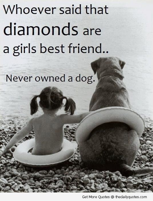 Dogs Love Quotes
 Quotes Love My Dog QuotesGram
