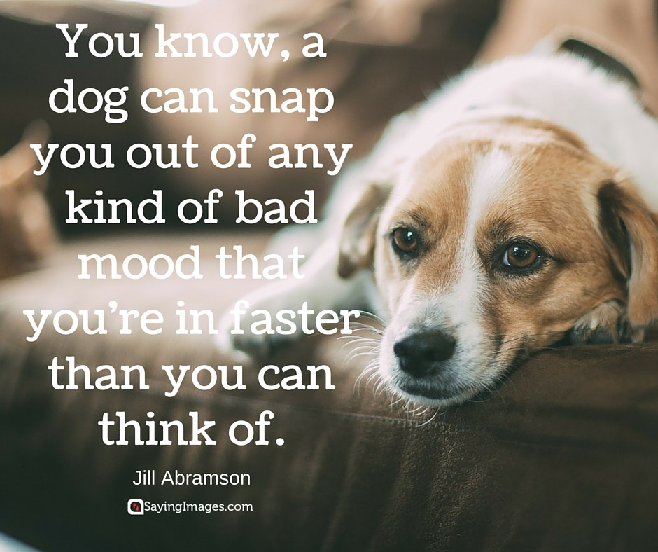 Dogs Love Quotes
 20 Cute & Famous Dog Quotes