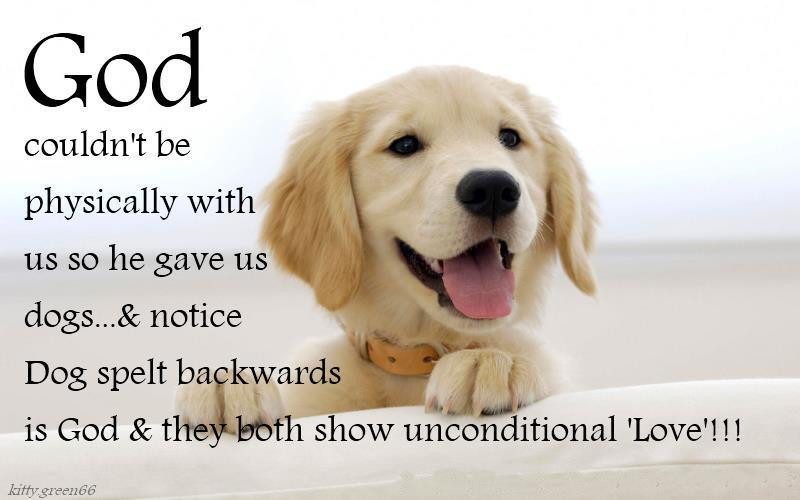 Dogs Love Quotes
 Love Your Dog Quotes QuotesGram