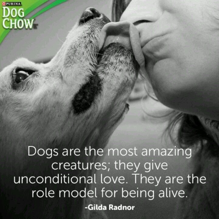 Dogs Love Quotes
 Dog Devotion Quotes QuotesGram