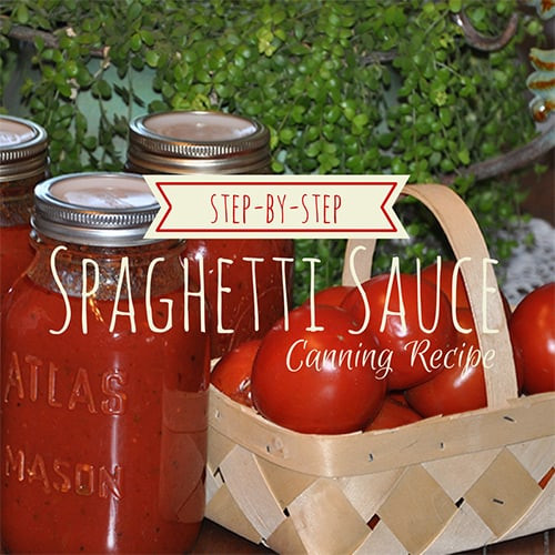 Easy Canning Spaghetti Sauce
 Spaghetti Sauce Canning Recipe Step by Step