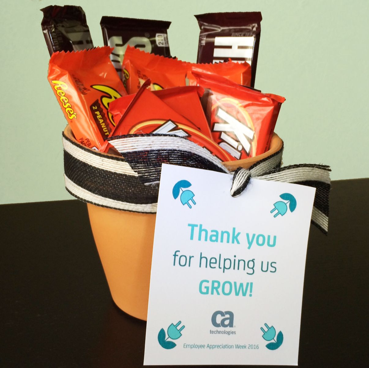 Employee Anniversary Gift Ideas
 "Thank you for helping us grow " planter with candy