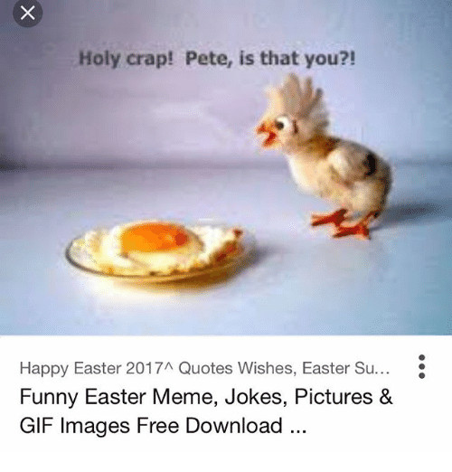 Funny Happy Easter Quotes
 25 Best Memes About Funny Easter