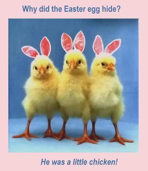 Funny Happy Easter Quotes
 Funny Easter Stuff