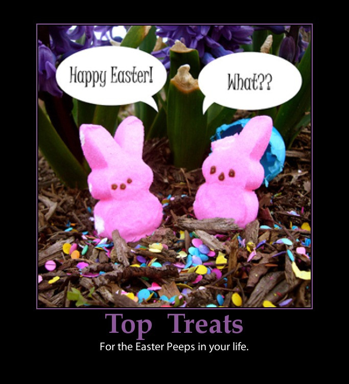 Funny Happy Easter Quotes
 Funny Quotes about Easter