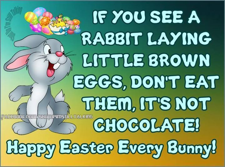 Funny Happy Easter Quotes
 If you see a rabbit laying brown eggs easter easter quotes