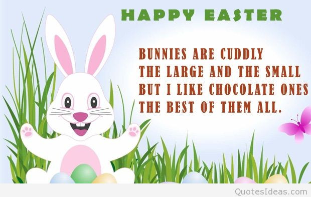 Funny Happy Easter Quotes
 Easter Bunny Quotes QuotesGram