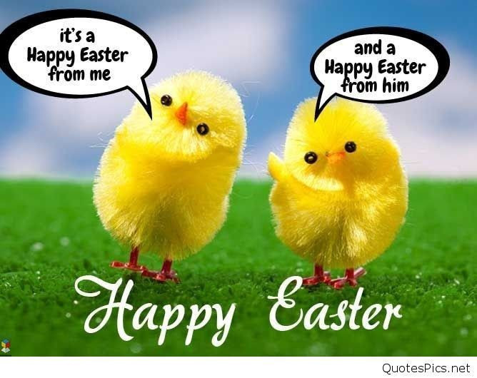 Funny Happy Easter Quotes
 Happy Easter Easter