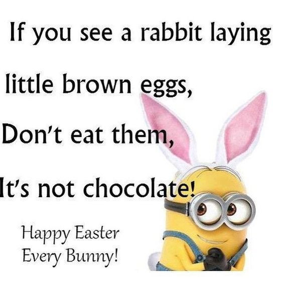 Funny Happy Easter Quotes
 20 Funny Easter Quotes